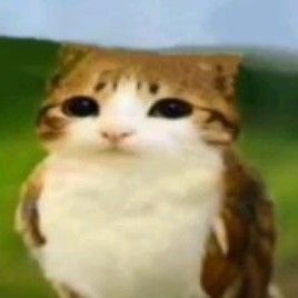 123